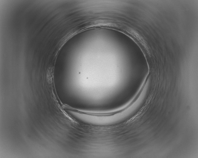 X0000075371377200610061801