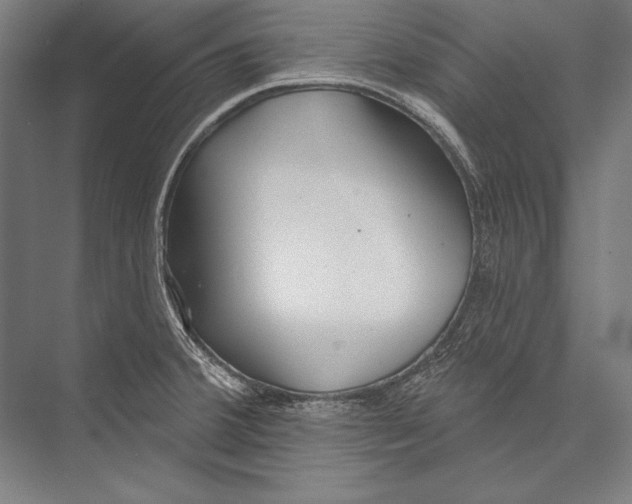 X0000075371380200610061801