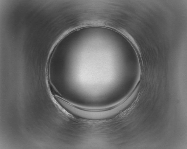 X0000075371389200610061801
