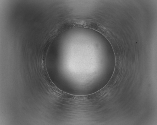 X0000075371394200610061800
