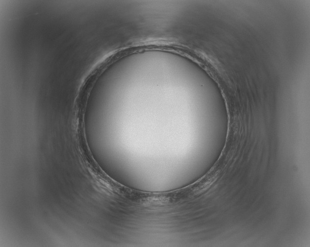 X0000075371406200610061801