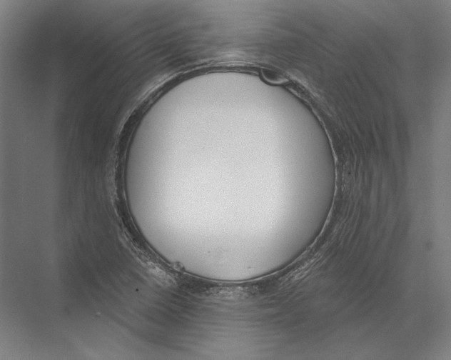 X0000075371410200610061801