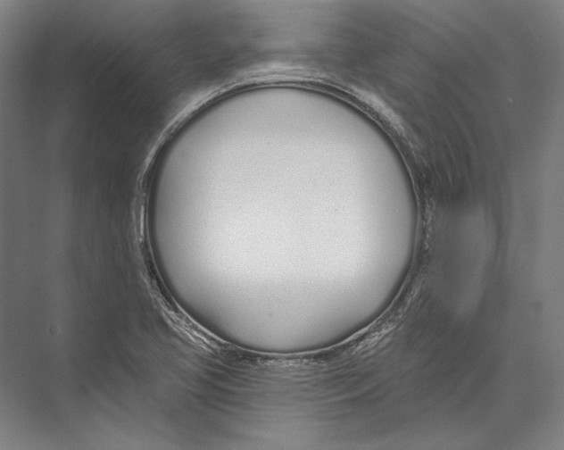 X0000075371413200610061801