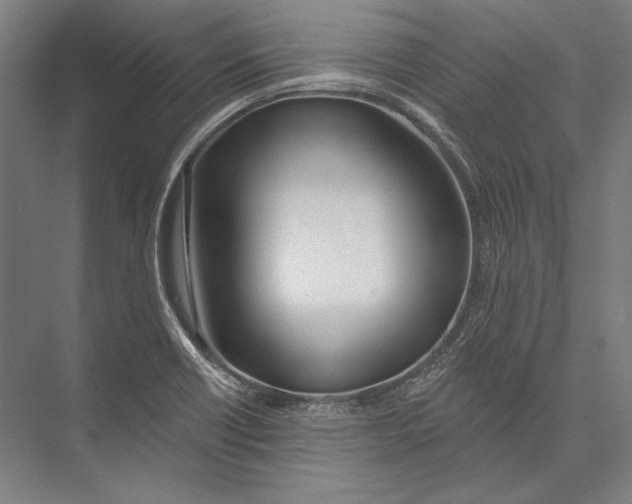 X0000075371418200610061801
