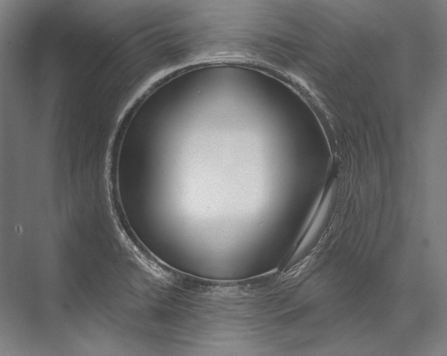 X0000075371422200610061801