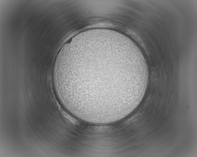 X0000075371425200610061801
