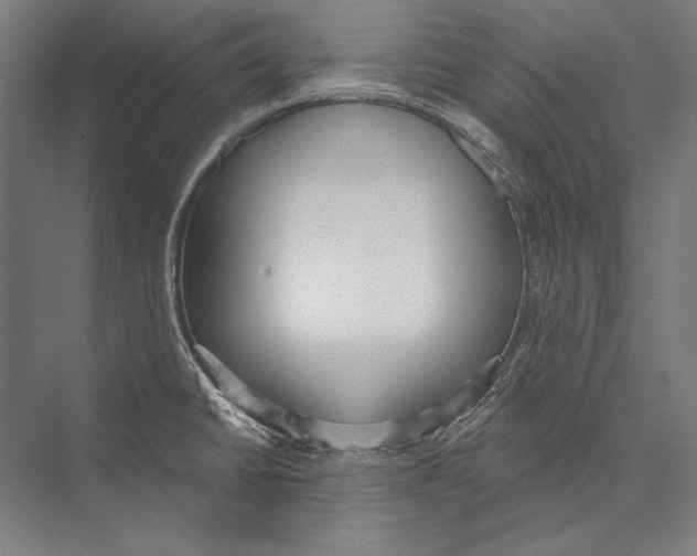 X0000075371430200610061801