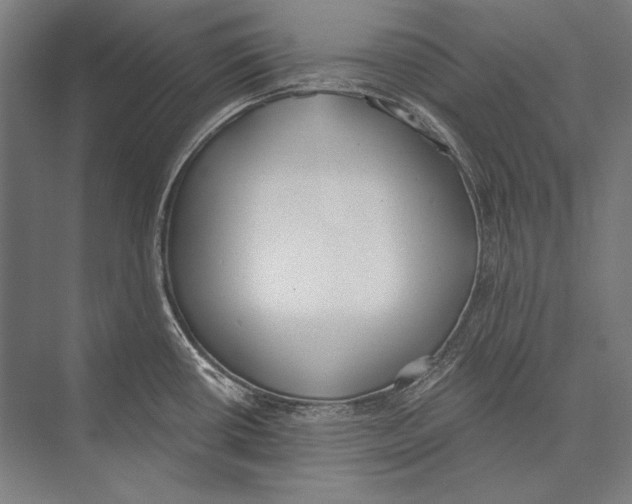 X0000075371434200610061801