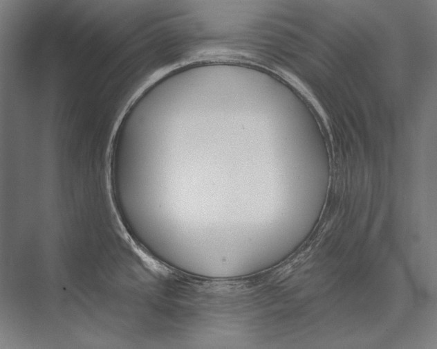X0000075371437200610061801