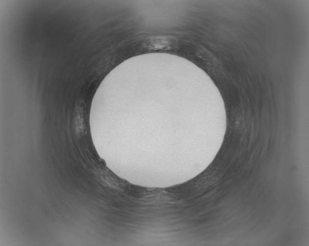 X0000075371442200610061800