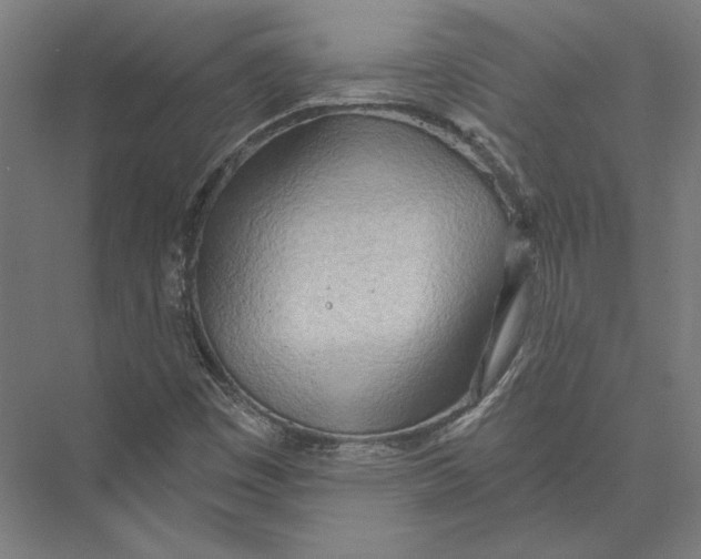 X0000075371449200610061800