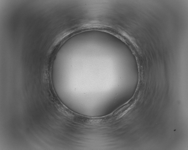 X0000075371453200610061800
