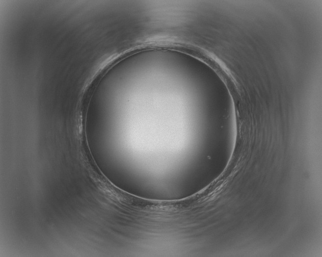 X0000075371461200610061800