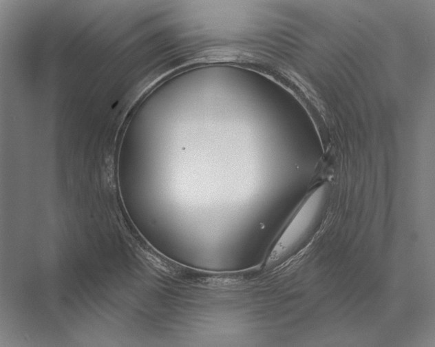 X0000075371465200610061800
