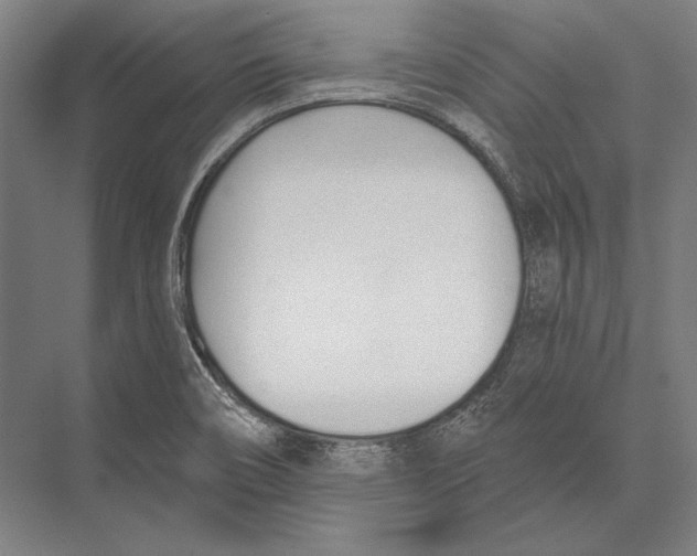 X0000075371466200610061800