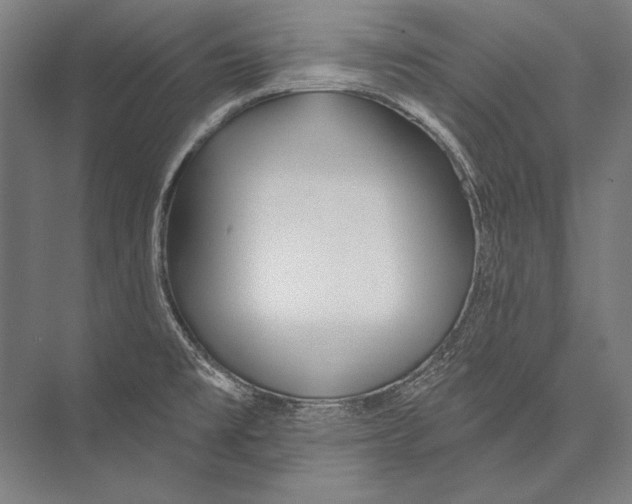 X0000075371477200610061800