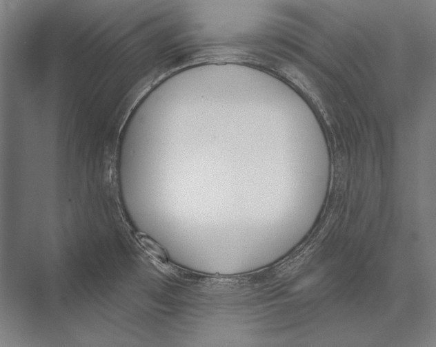 X0000075371481200610061800