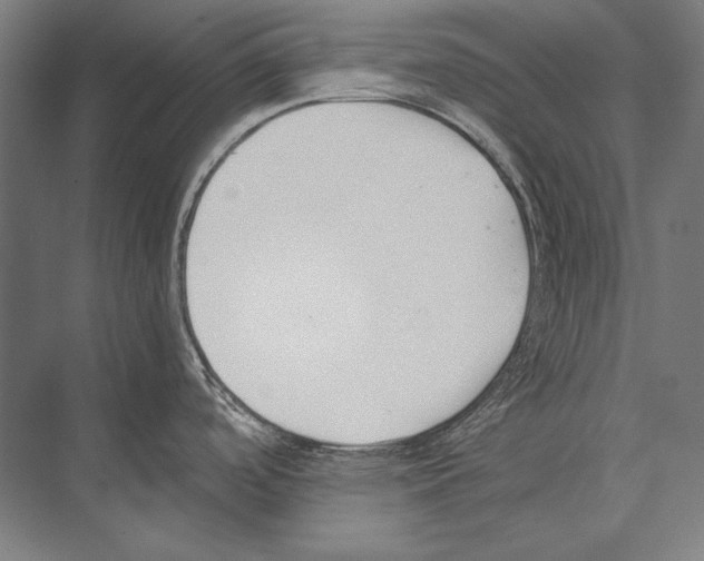 X0000075371488200610061800