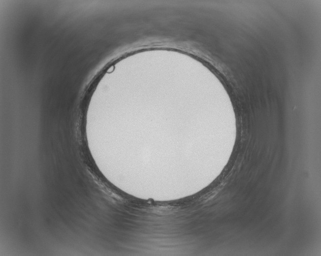 X0000075371502200610061759