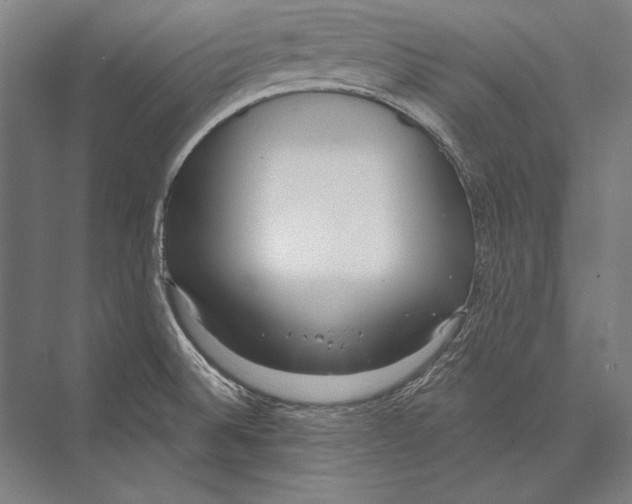 X0000075371524200610061759