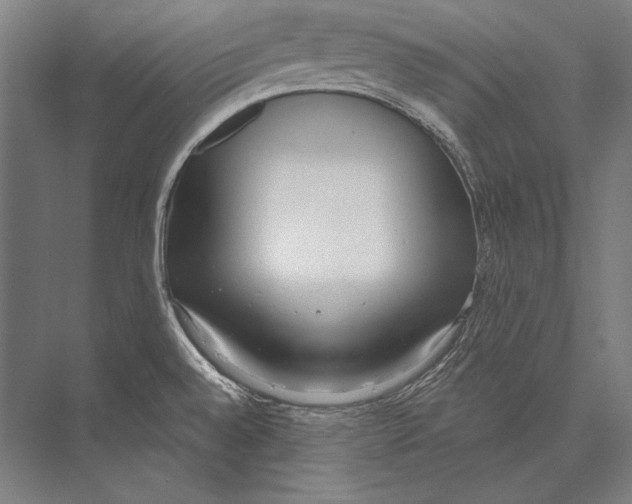 X0000075371528200610061759