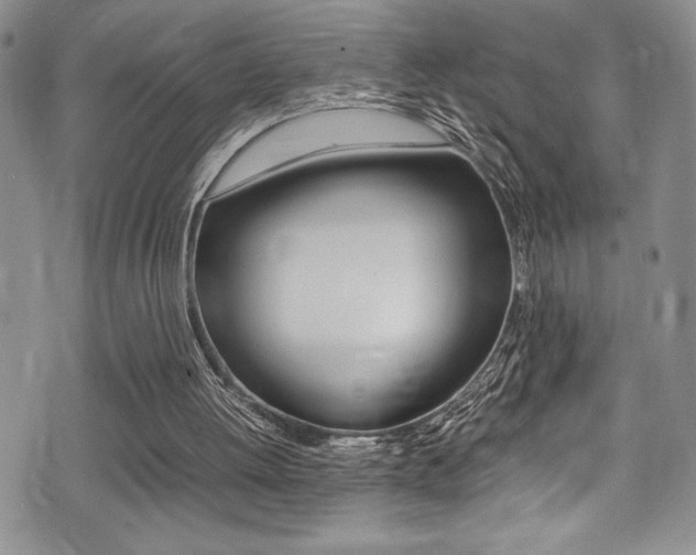 X0000075380052200609080922