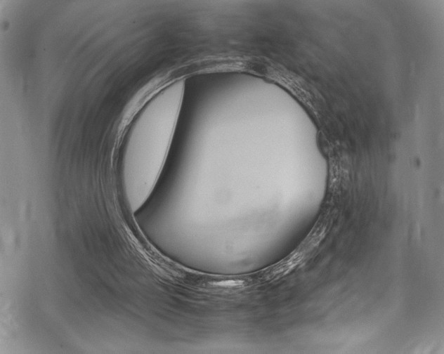 X0000075380053200609080922