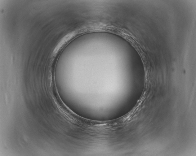 X0000075380054200609080922