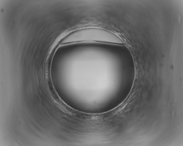 X0000075380056200609080922