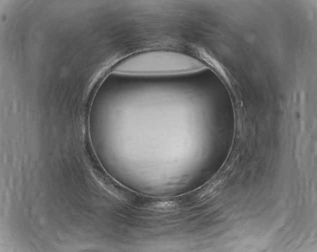 X0000075380059200609080922