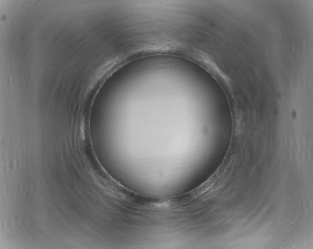 X0000075380068200609080922