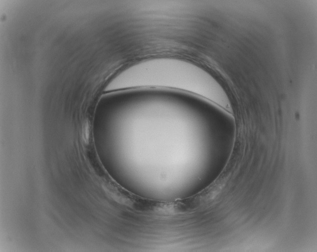 X0000075380076200609080922