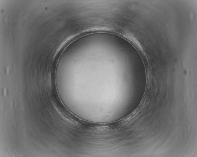 X0000075380108200609080921