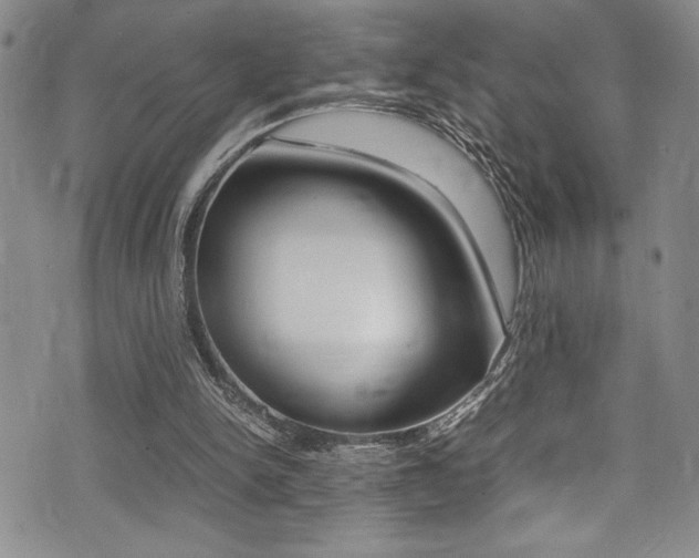 X0000075380150200609080920