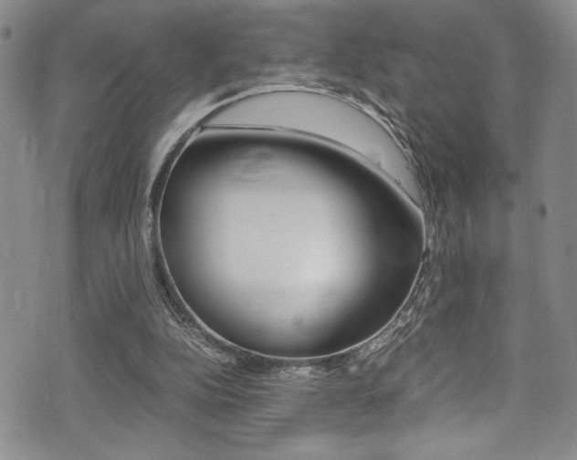 X0000075380152200609080920