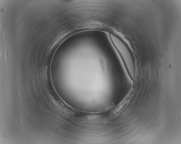 X0000075380154200609080920