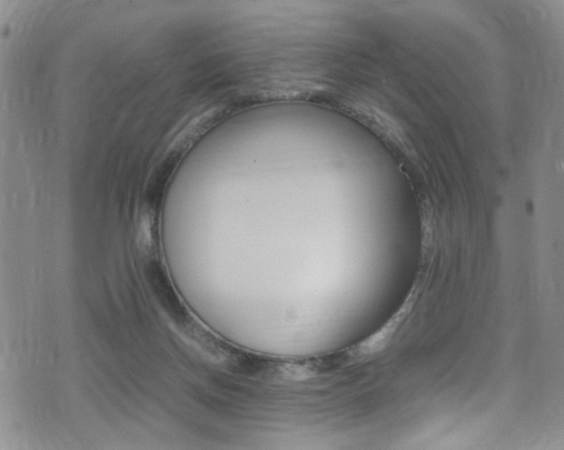 X0000075380166200609080920