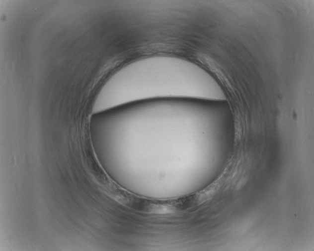 X0000075380167200609080920