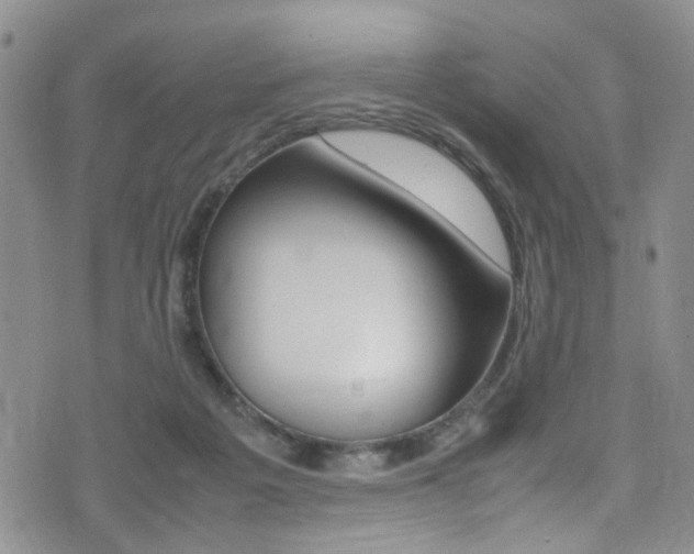 X0000075380217200609080920