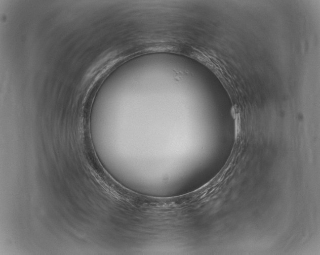 X0000075380243200609080918