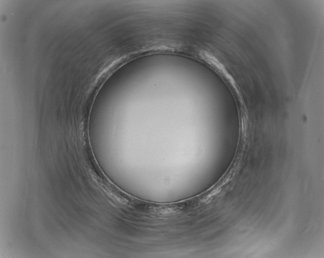 X0000075380249200609080918