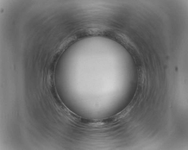 X0000075380266200609080919