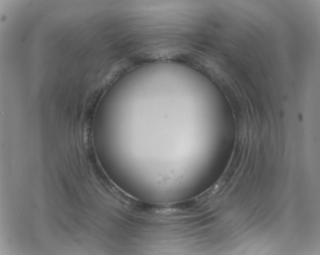 X0000075380268200609080919