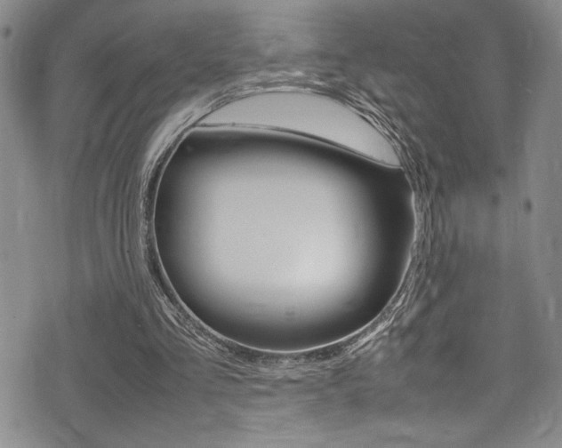 X0000075380293200609080918