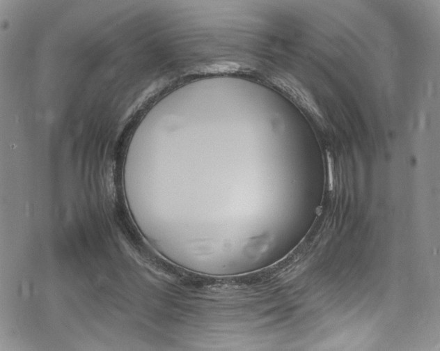 X0000075380300200609080918