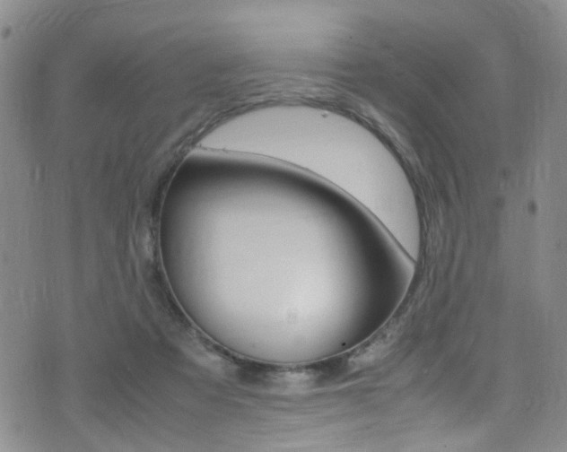 X0000075380313200609080918