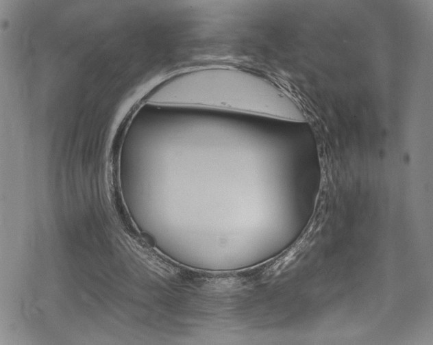 X0000075380342200609080917