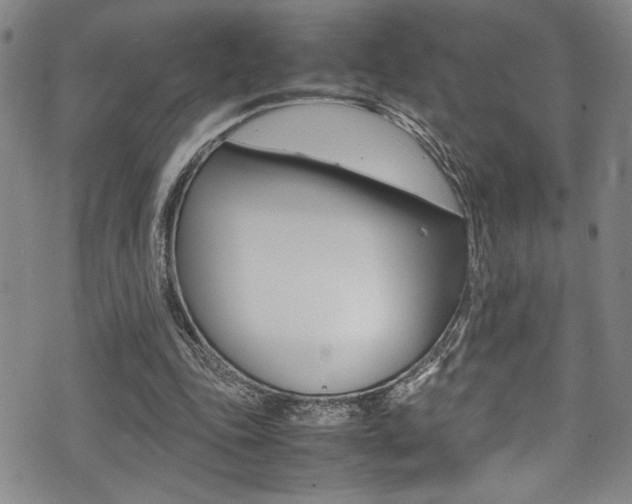X0000075380343200609080917