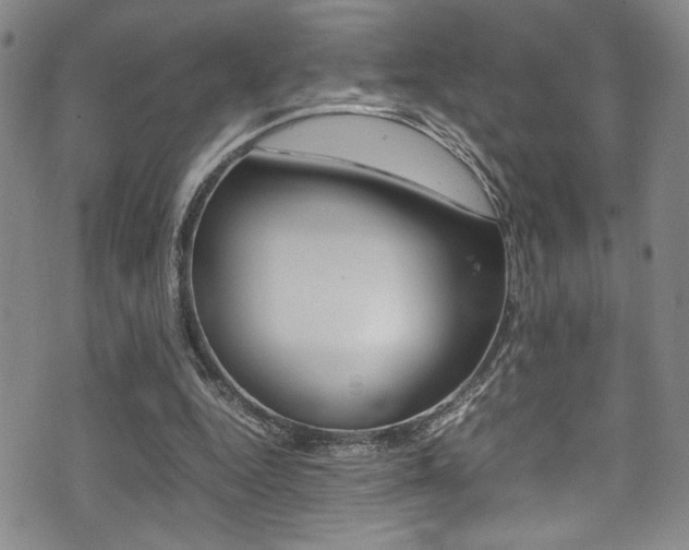 X0000075380344200609080917