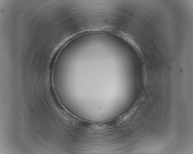X0000075380346200609080917